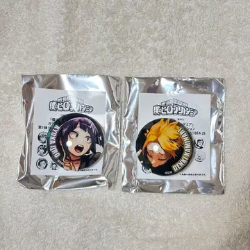 히로아카 유리 마그넷 컬렉션 미미야마 카미나리 덴키 JF2026