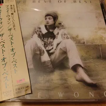 페이 원 더 베스트 오브 베스트