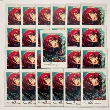 앙스타 이바라 쇼몬라이후쿠 파샤츠 25점