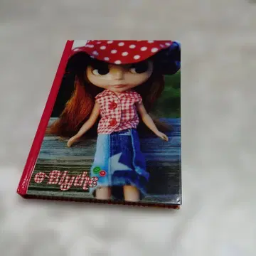 브라이스 일기장