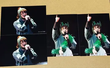 닌뮤 롯탄 브로마이드