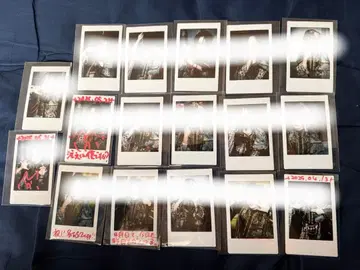 진귀 마나세 마자리 의상 폴라로이드 17장 세트 2