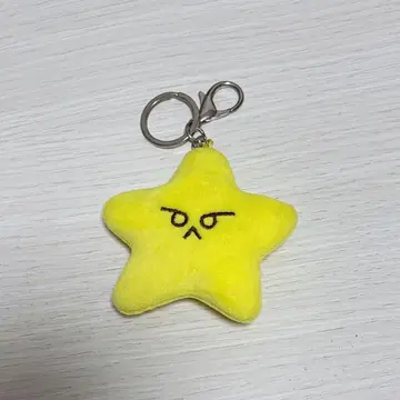 NCT 127 도영 불가사리 키링 the unity