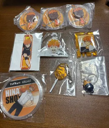 하이큐!! 키링 히나타 세트