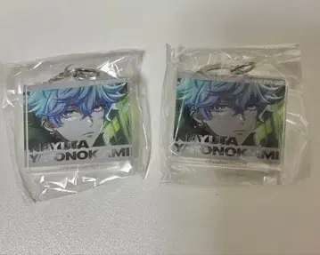 파라라이 가챠 아크릴 참 나유타