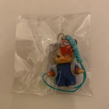 토도로키 쇼토 큐피 애니멀 히로아카