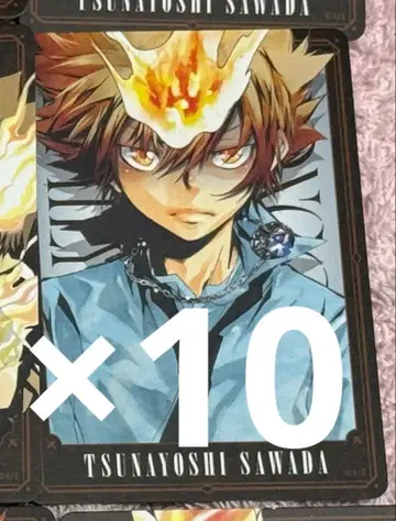 리본 만화 보드게임 보드게임 사와다 츠나요시 츠나 1 10장