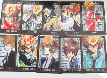 가정교사 히트맨 REBORN! 보드게임 사와다 츠나요시 카드