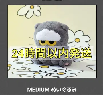 ZO&FRIENDS ZOA MEDIUM 봉제 인형 gdragon