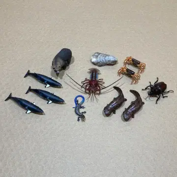 Nature of Japan 일본의 생물 12개 모음