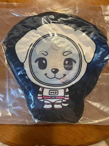 이와타 타카노리 SPACECOWBOY 회장 가챠 레어 쿠션