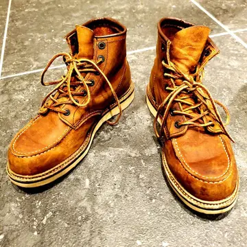 RED WING 아이리쉬 세터