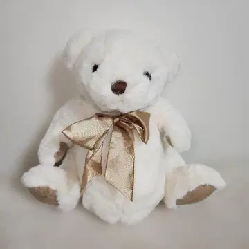 제브 카터 테디베어