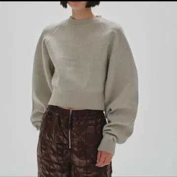 TODAYFUL 크롭 니트 그레이