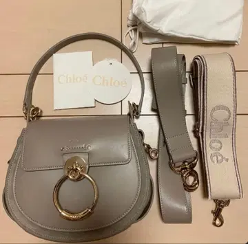 끌로에 테스 스몰 백 모티 그레이 캔버스 스트랩