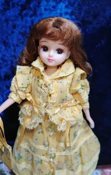 리카짱 인형 본체 핑크하우스 의상