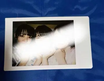 돈치키 사키나 치바 유나 유카타 이벤트 폴라로이드 정가 이하