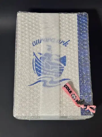 BUMP OF CHICKEN aurora ark 최초 한정판 284