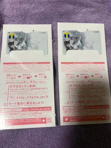 Eve t카드 2장 세트