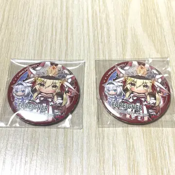 포리너 어둠의 코얀스카야 캐릭터 캔뱃지 Fate