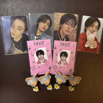 아이엔 트레이딩 카드 폭시니 피규어 세트 스키즈