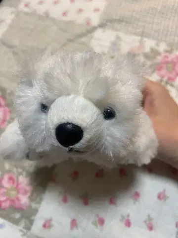 하케이지마 파라다이스 북극곰 봉제 인형