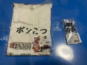 작혼 이치히메의 엉성한 T셔츠와 넥스트랩 세트