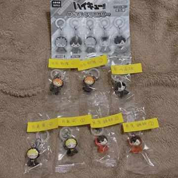 하이큐 메지루시 액세서리