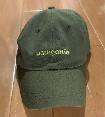 patagonia 올리브 그린 캡