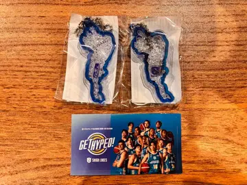 비와코 BIWAKO 키링 시가 레이크스타즈 레이크스치어 스티커