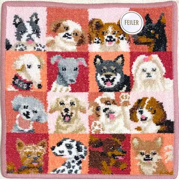 페이러 타월 손수건 룩! 마이 도그