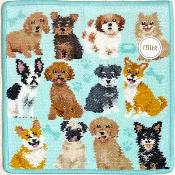 페이러 타월 손수건 마이큐트퍼피