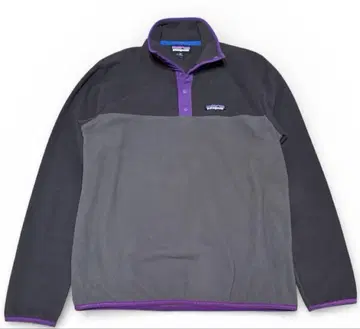 Patagonia Micro D Snap-T 플리스 풀오버