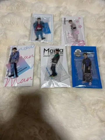 와타나베 쇼타 아크릴 스탠드 5개 세트