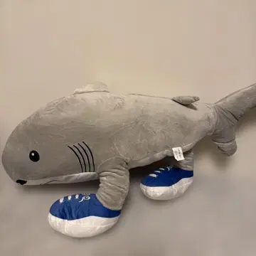 트라라레로트라라라 약 55cm / 이탈리아 레인 로트