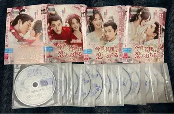 중국 드라마 금야 약사님은 사랑에 빠지다 DVD 24매