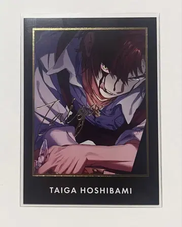 도쿄 디뱅커 동디바 호시쿠이 타이카 트레이딩 카드 SR 사인 포함