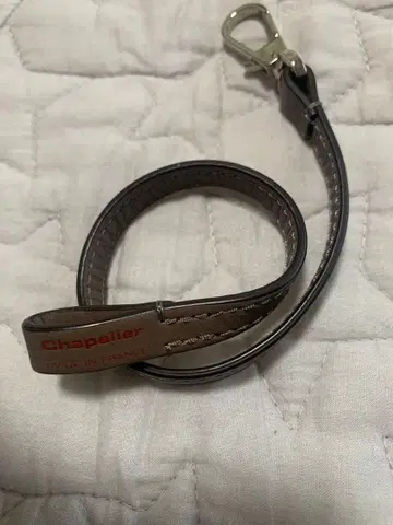 에르베 샤브리에 스트랩!