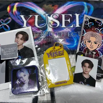 BUTTERFLY EFFECT 야기 유세이 세트