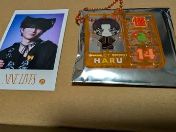 초특급 REAL? 플라스틱 모델풍 키링&미니 포토 카드