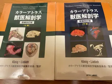 컬러 아틀라스 수의 해부학 상권 하권 세트