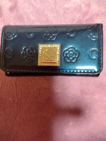 클레이사스 키케이스