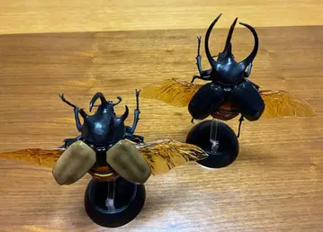 장수풍뎅이 피규어 블랙 브라운 약 10cm