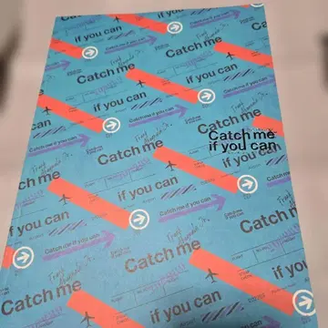 Catch me if you can 팜플렛