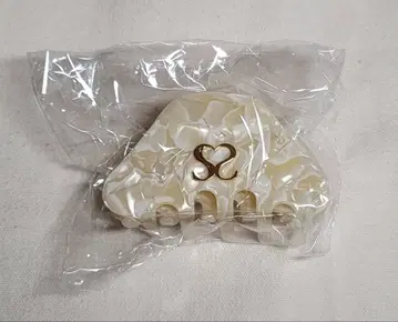 [ 익명 배송/배송비 포함 ] 센라 Gossip 헤어 클립