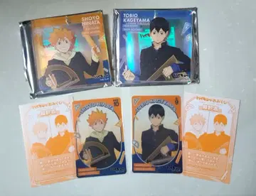 하이큐 복권 브로키 히나타 카게야마