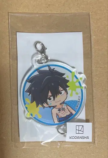 FAIRY TAIL 복권 콜렉션 그레이