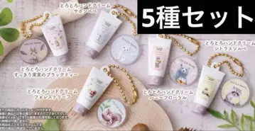 VECUA Honey 미니어처 참 5개 세트