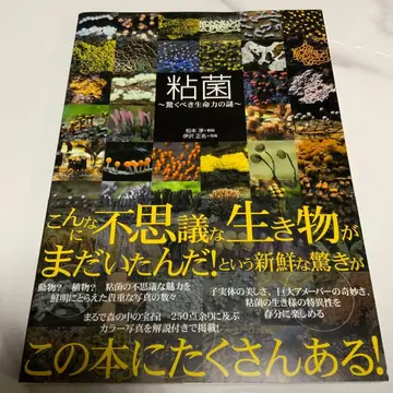 점균: 놀라운 생명력의 수수께끼