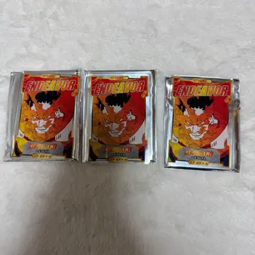 히로아카 스탯 카드 엔데버